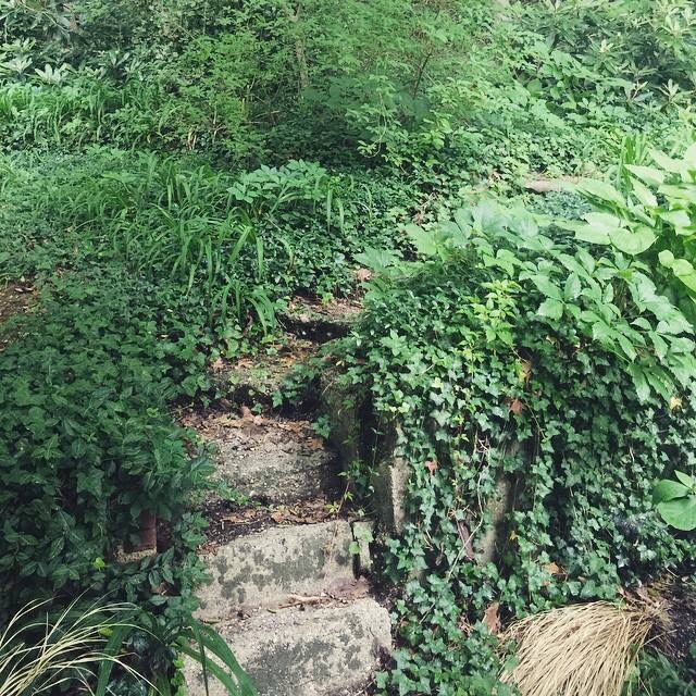 My steps - where many new worlds were created along the perimeters